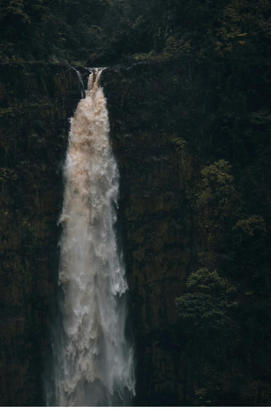 Akaka Falls waterfall surrounded by tropical rainforest